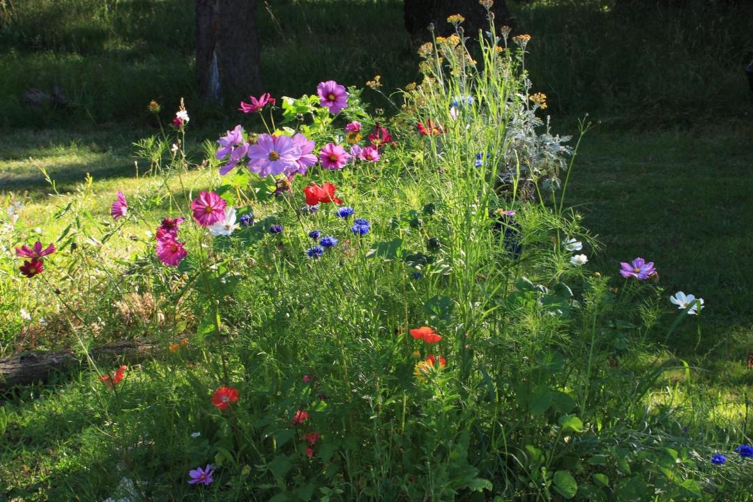 Photo of Outdoor in Castaignos-Souslens