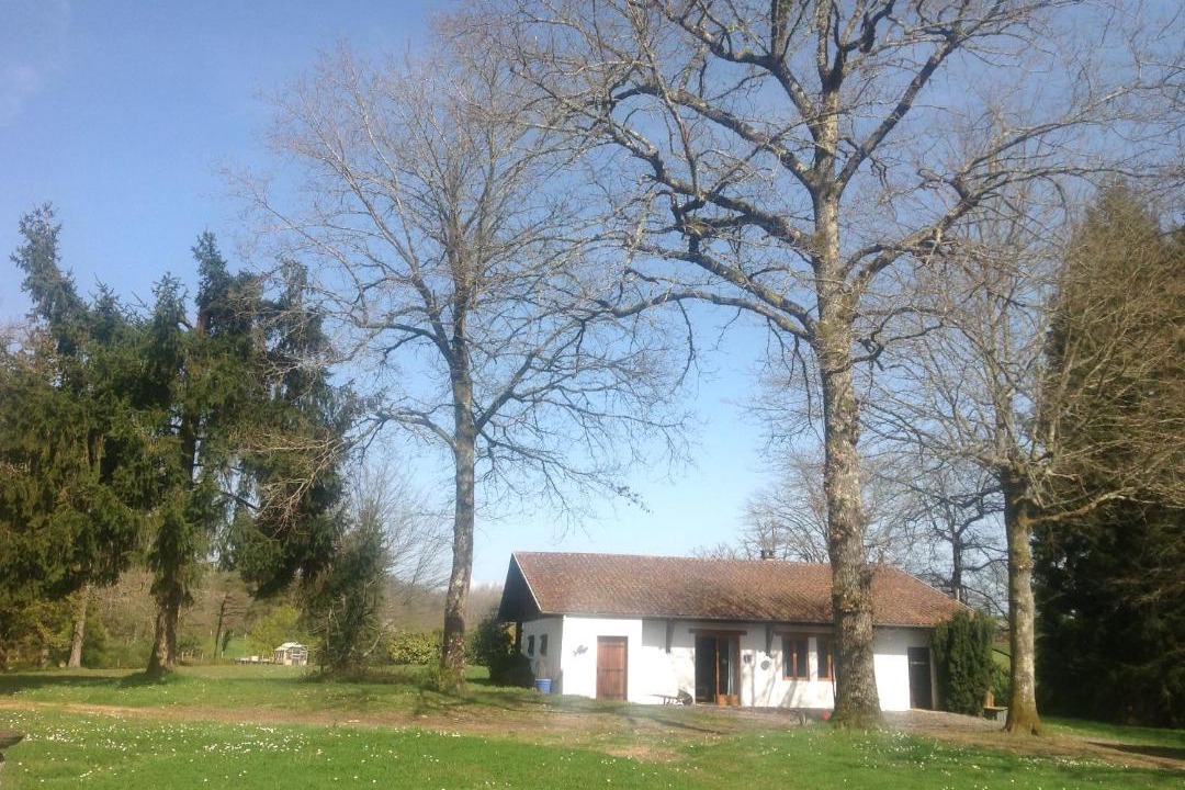 Photo of Buildings in Saint-Junien