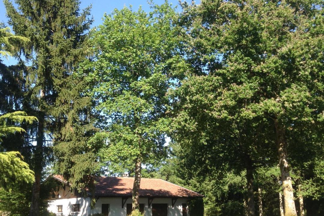 Photo of Others in Saint-Junien