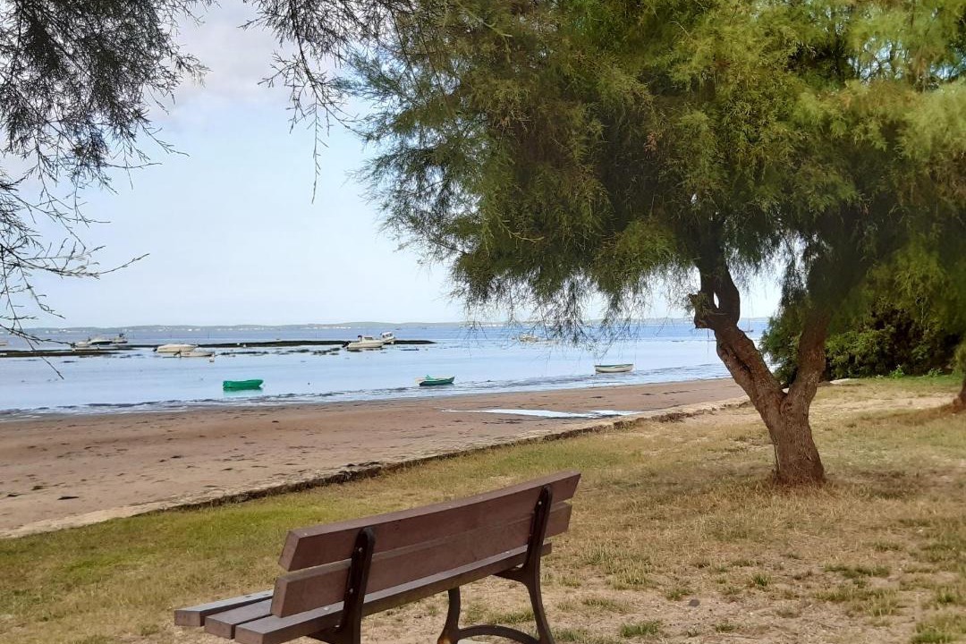 Photo of Outdoor in Taussat