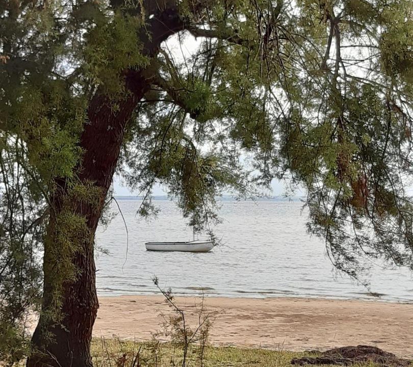 Photo of Outdoor in Taussat