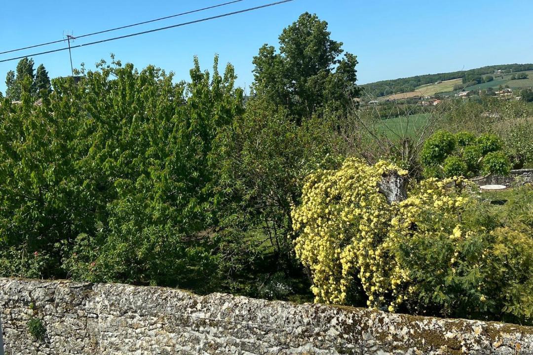 Photo of Outdoor in Gontaud