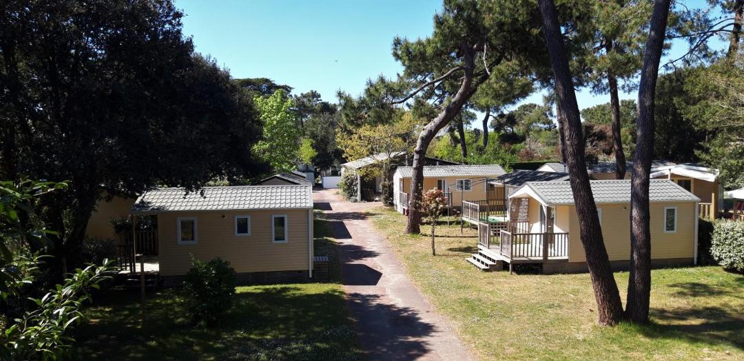 Photo of Others in Saint-Palais-sur-Mer