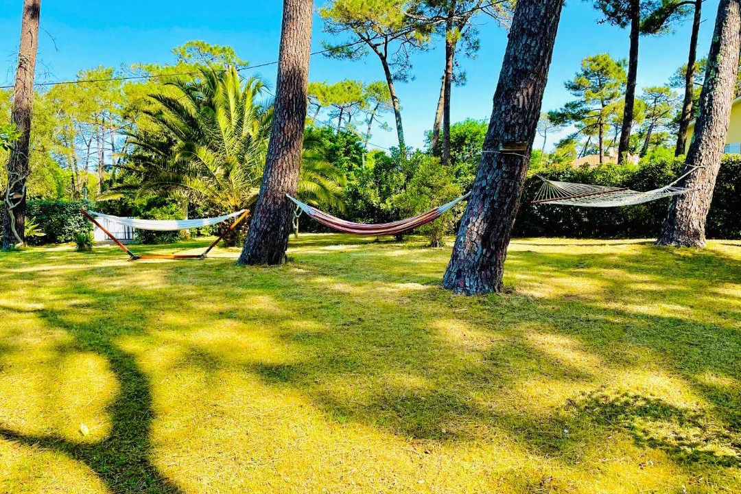 Photo of Outdoor in Labenne-Ocean