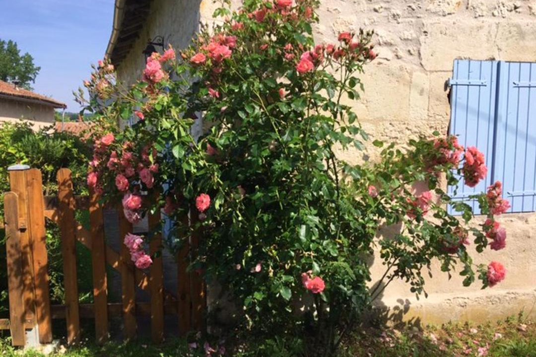Photo of Others in Rioux-Martin