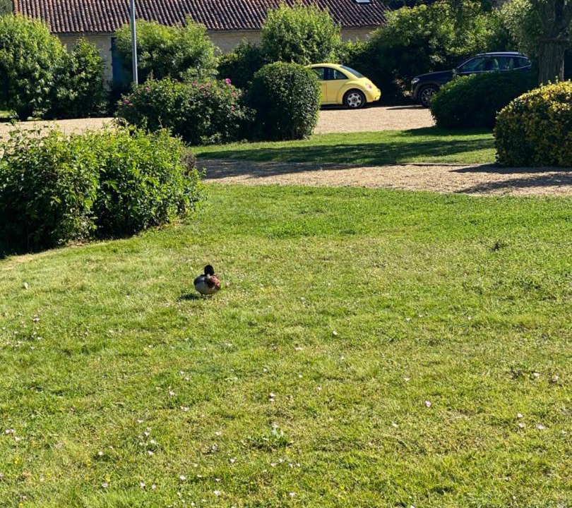 Photo of Others in Savigny-Levescault