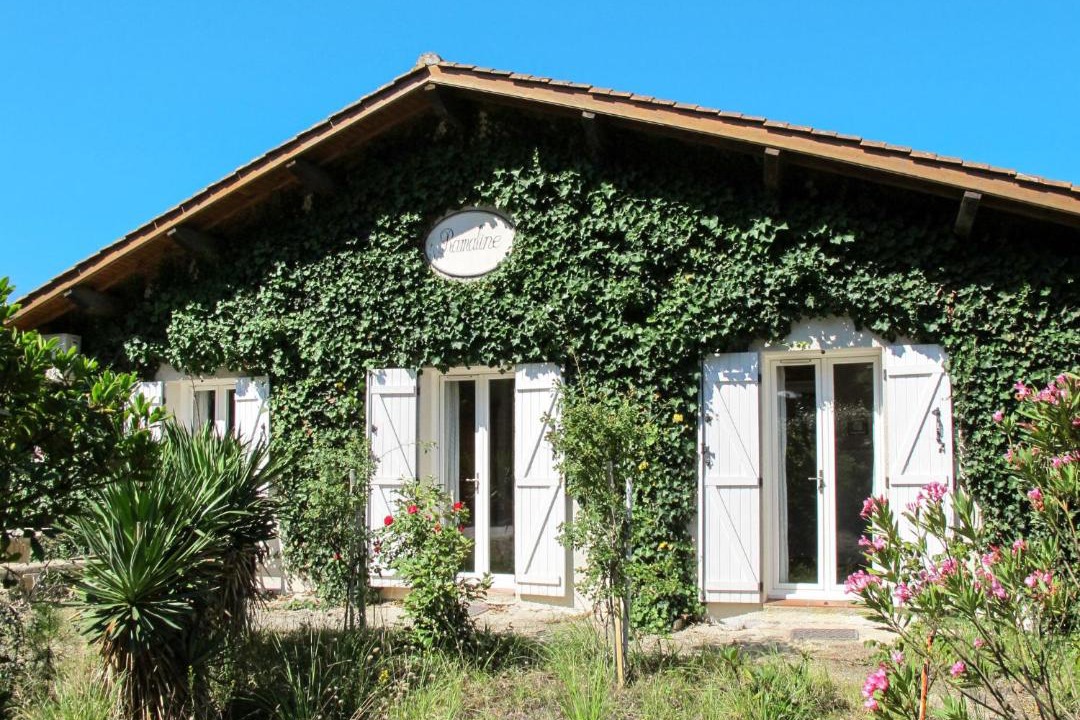 Photo of Buildings in Lacanau-Ocean