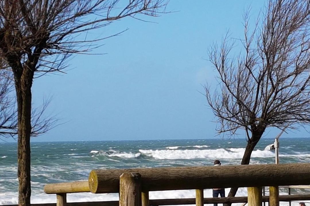 Photo of Others in Soorts-Hossegor