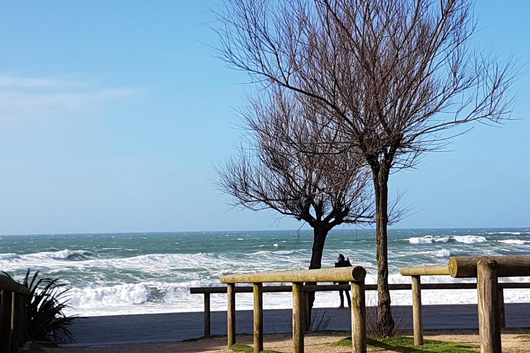 Photo of Others in Soorts-Hossegor