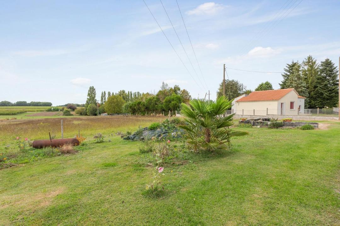 Photo of Others in Mortagne-sur-Gironde
