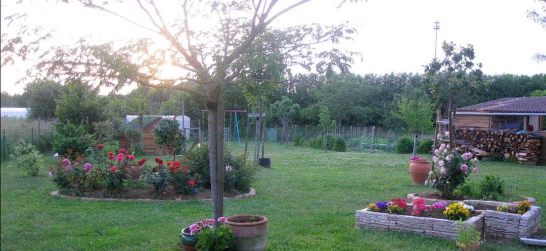 Photo of Others in Tonnay-Charente