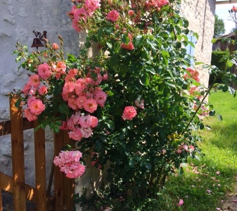 Photo of Others in Rioux-Martin