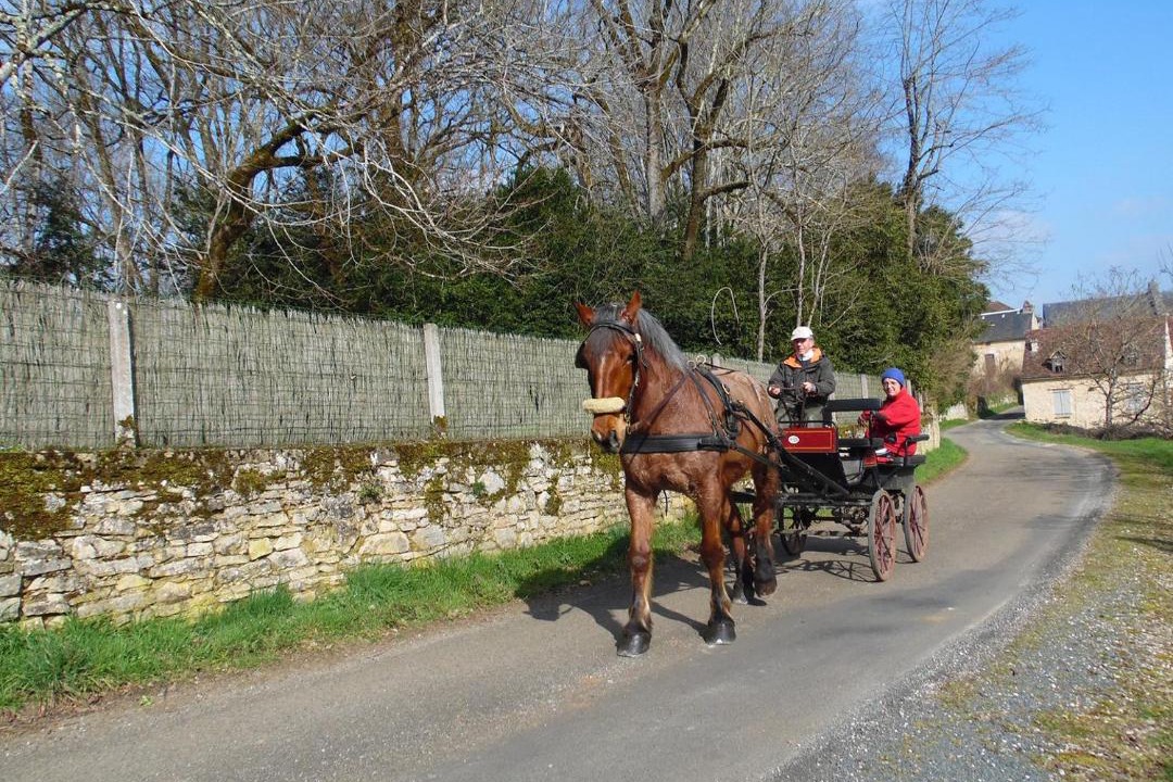 Photo of Others in Florimont-Gaumier