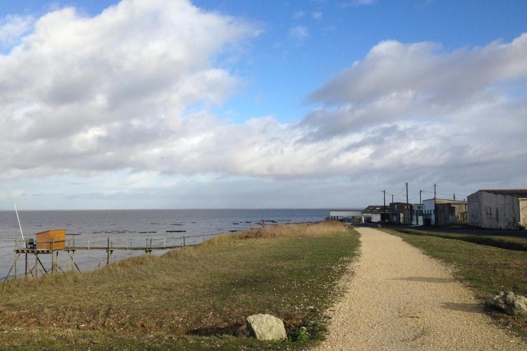 Photo of Outdoor in Marsilly