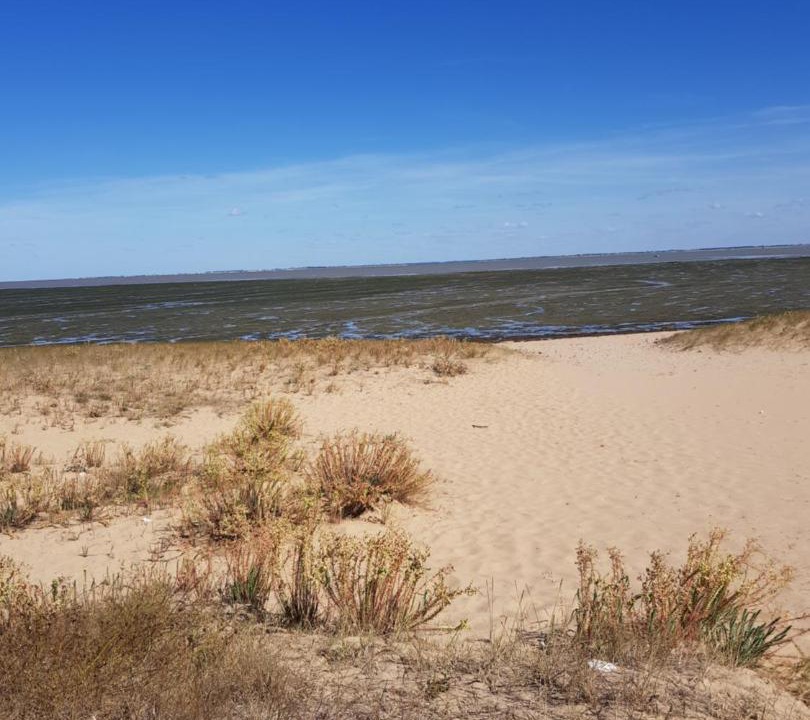 Photo of Outdoor in Le Chateau-d'Oleron