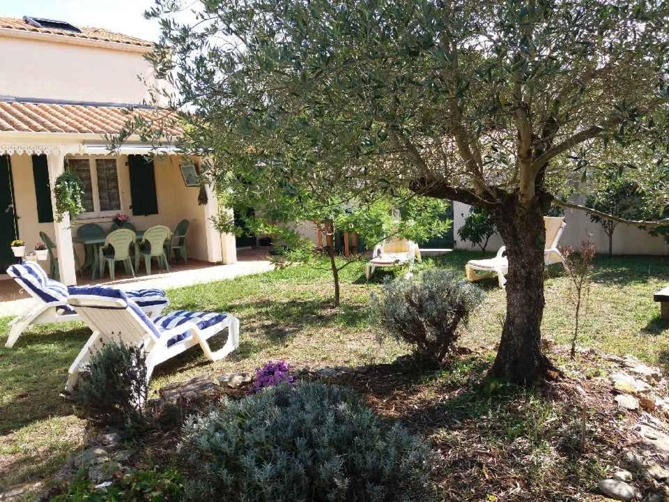 Photo of Others in Dolus-d'Oleron