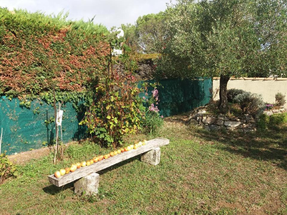 Photo of Others in Dolus-d'Oleron