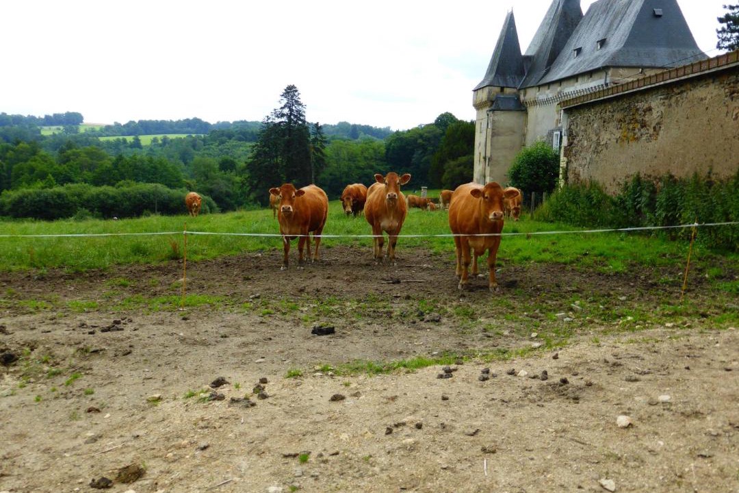 Photo of Others in Chalais