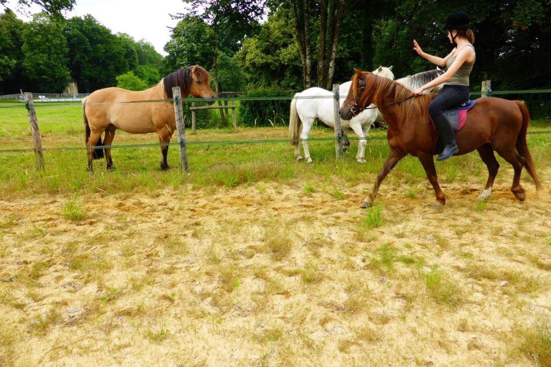 Photo of Others in Chalais