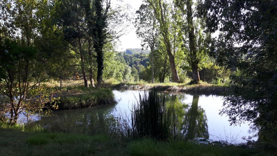 Photo of Others in Soulignac