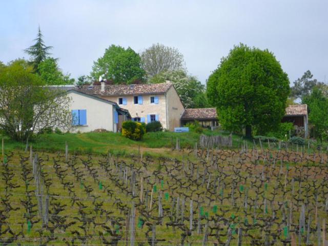 Photo of Others in Salleboeuf