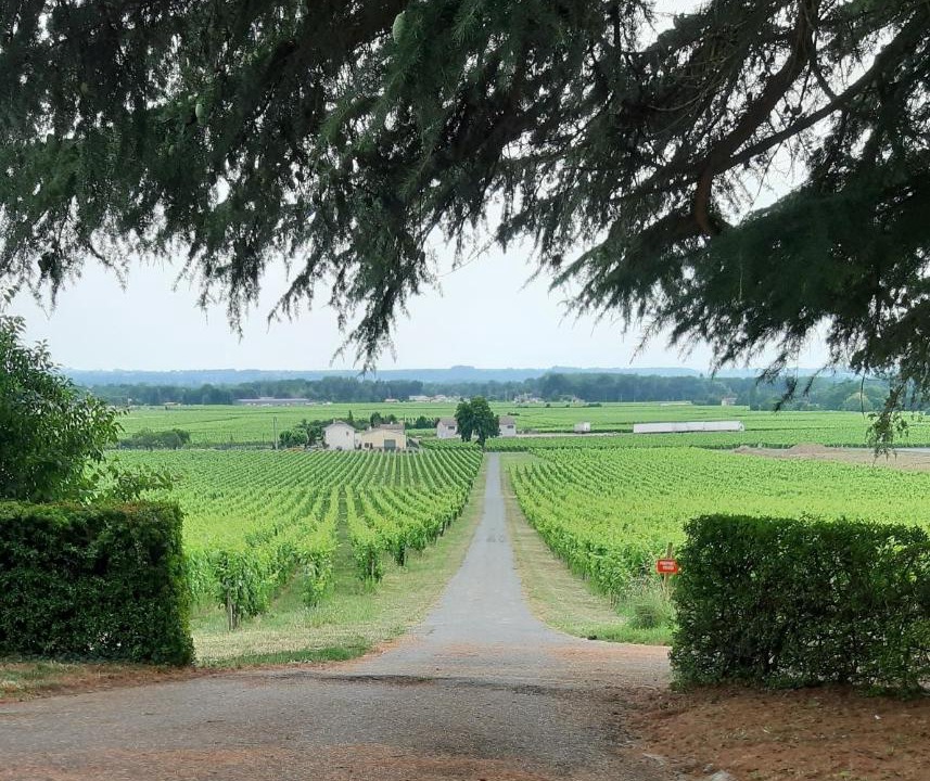 Photo of Others in Saint-Magne-de-Castillon
