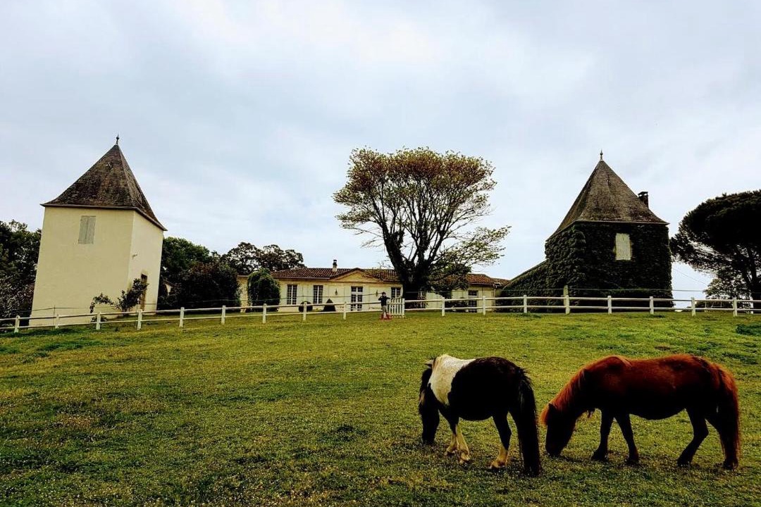 Photo of Others in Soulignac