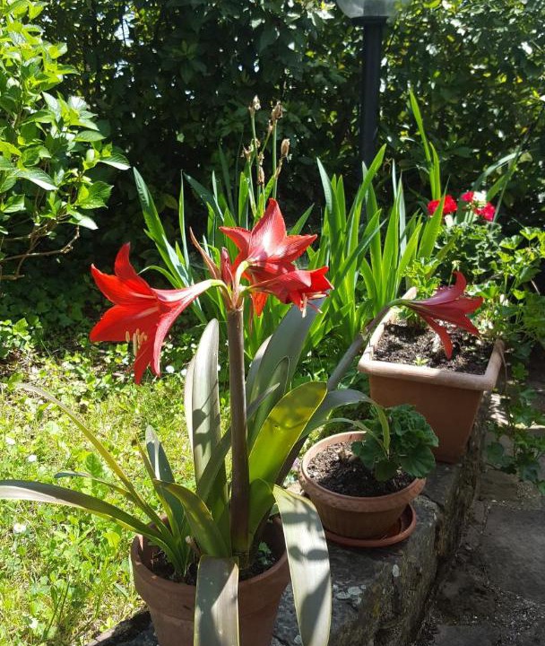 Photo of Outdoor in Montagnana