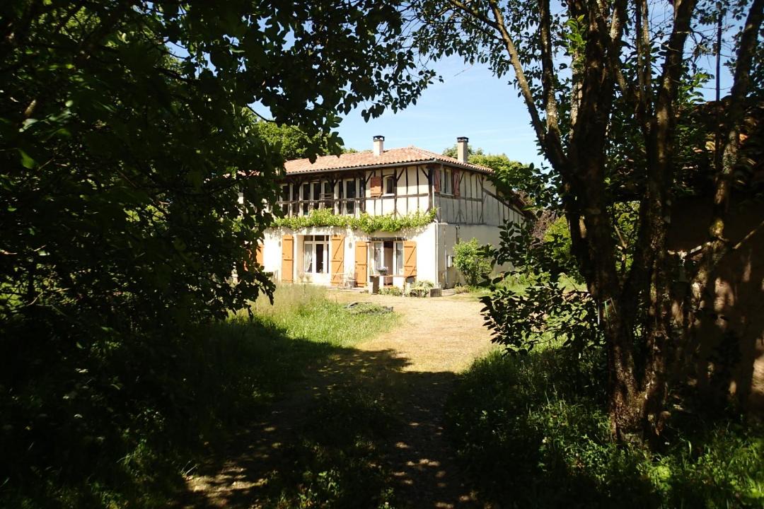Photo of Others in Momuy