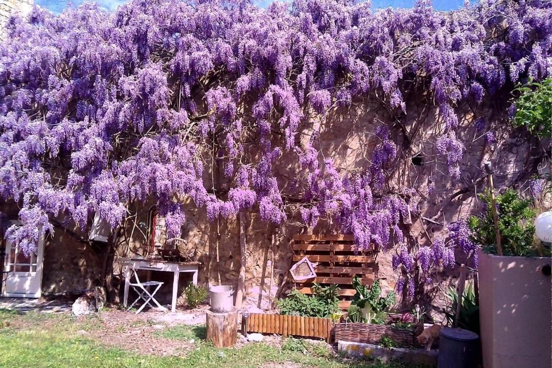 Photo of Others in Vicq-sur-Gartempe