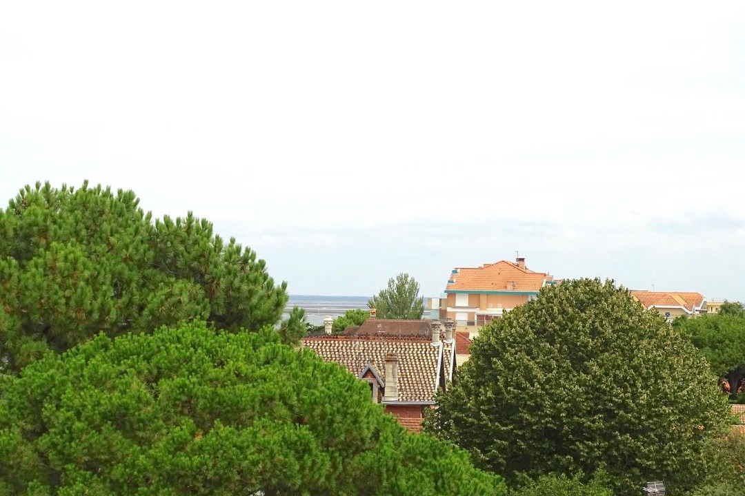 Photo of Others in Arcachon