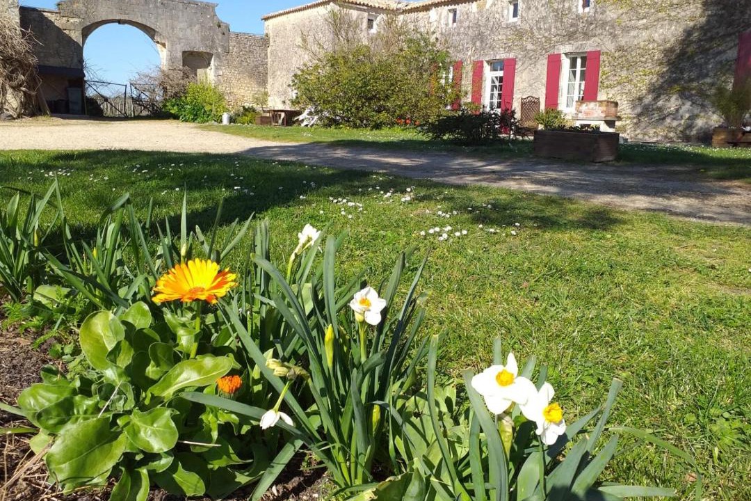 Photo of Others in Saint-Bonnet-sur-Gironde
