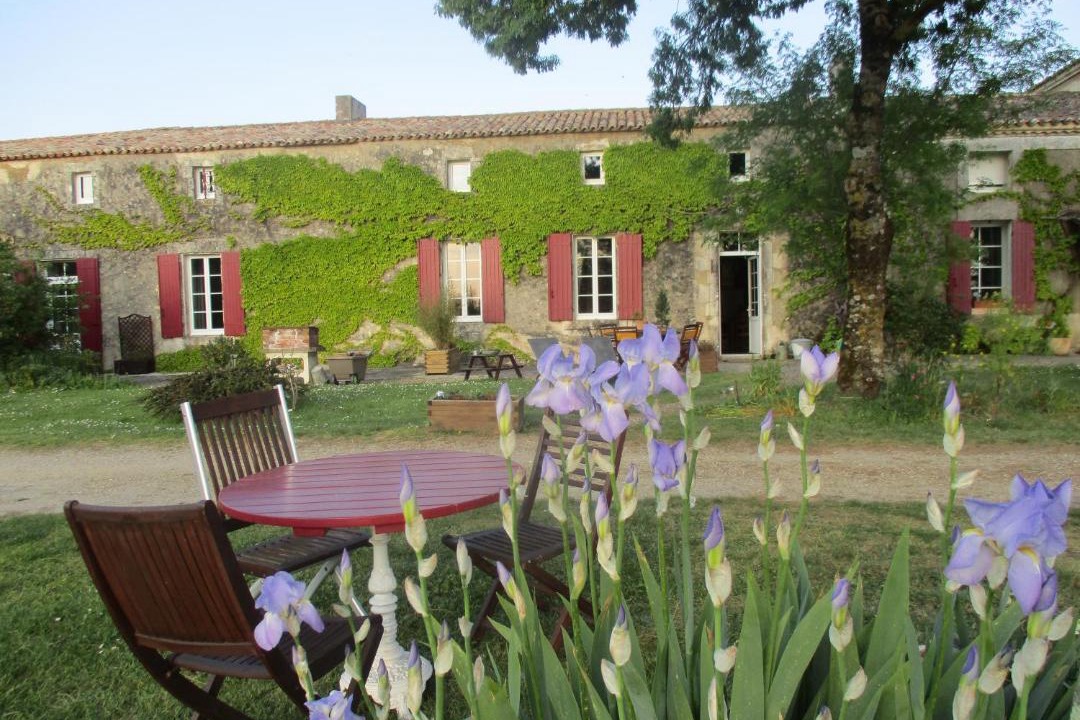 Photo of Others in Saint-Bonnet-sur-Gironde