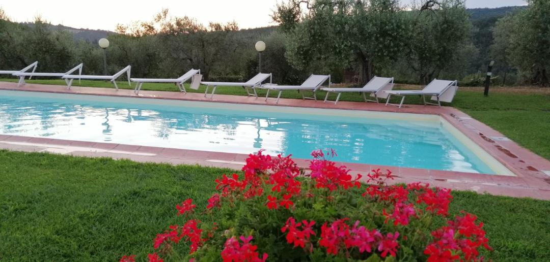 Photo of Others in Greve in Chianti