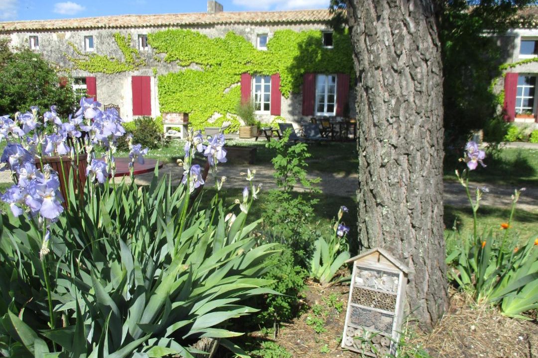 Photo of Others in Saint-Bonnet-sur-Gironde