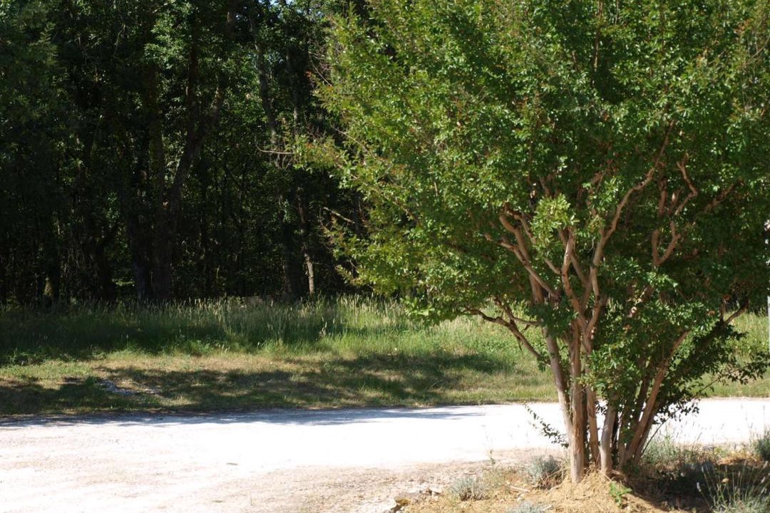 Photo of Outdoor in Feugarolles