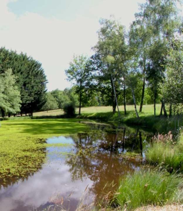 Photo of Outdoor in Saint-Paul-la-Roche