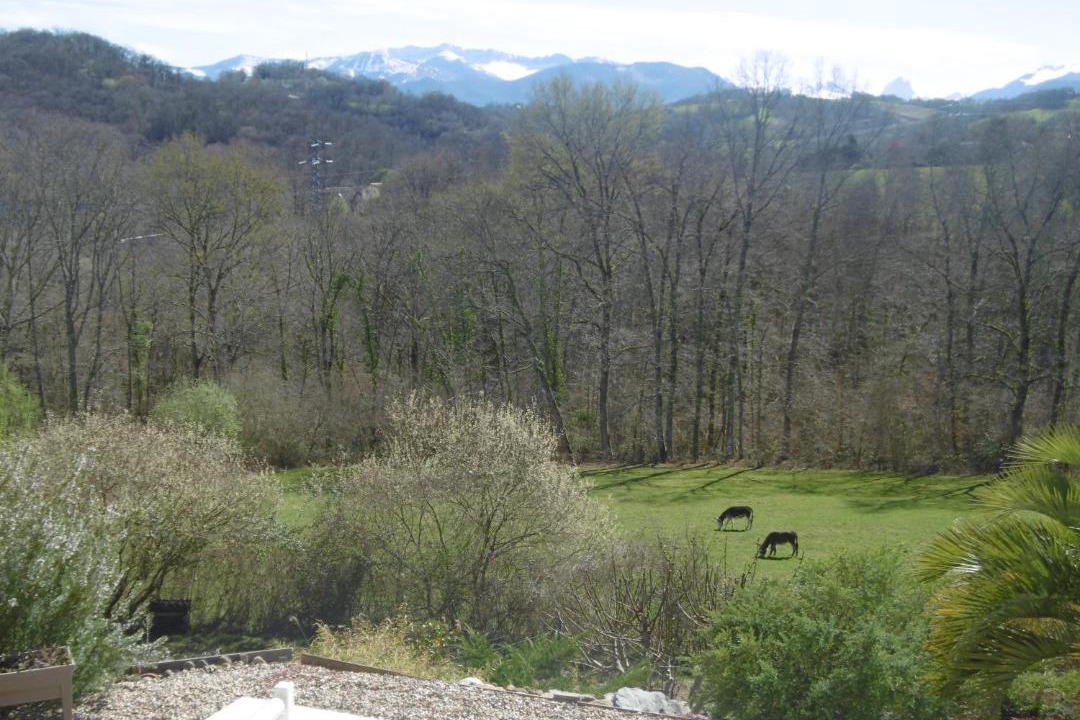 Photo of Outdoor in Gan