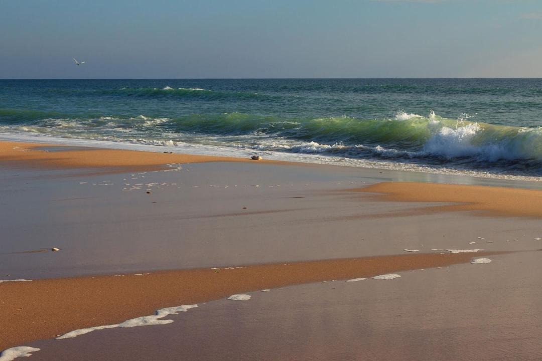 Photo of Outdoor in Le Grand-Village-Plage