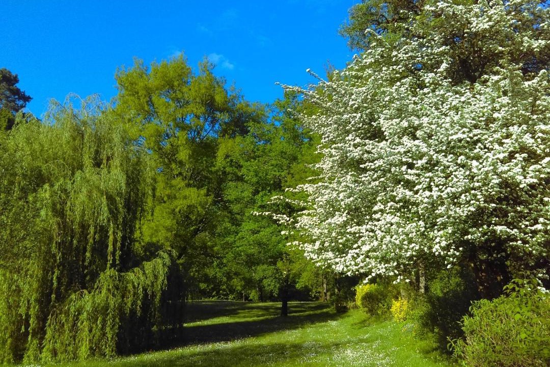 Photo of Others in Saint-Cricq-Villeneuve