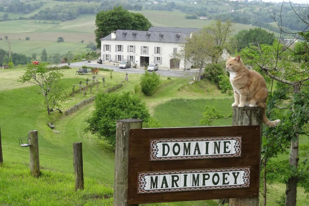 Photo of Others in Monein