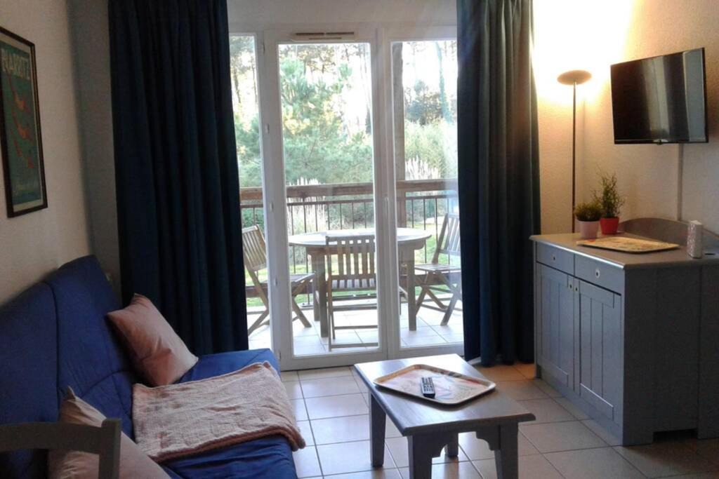 Photo of Livingroom in Ondres