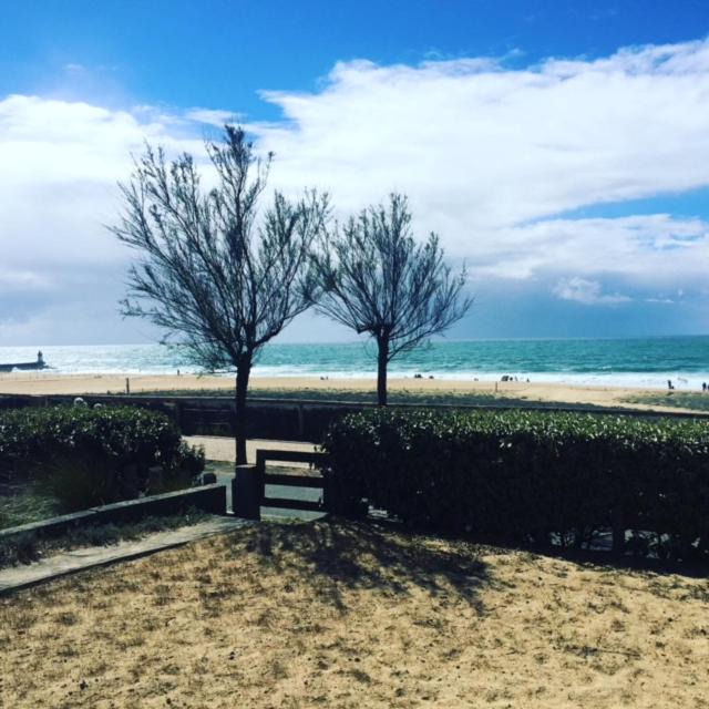Photo of Outdoor in Soorts-Hossegor