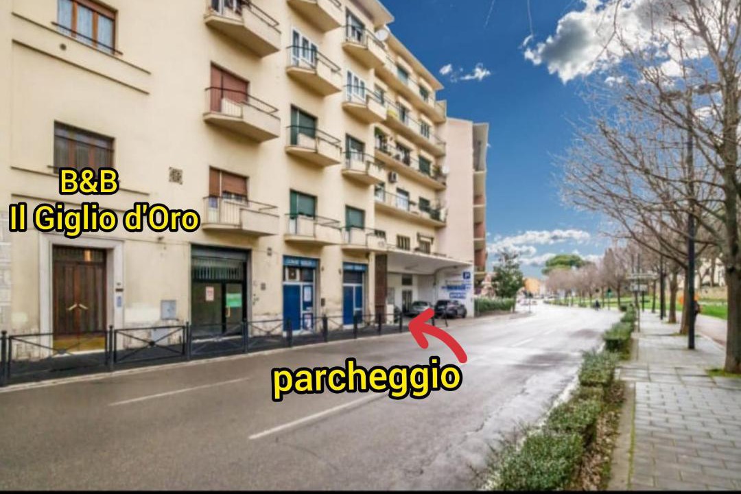 Photo of Others in Arezzo