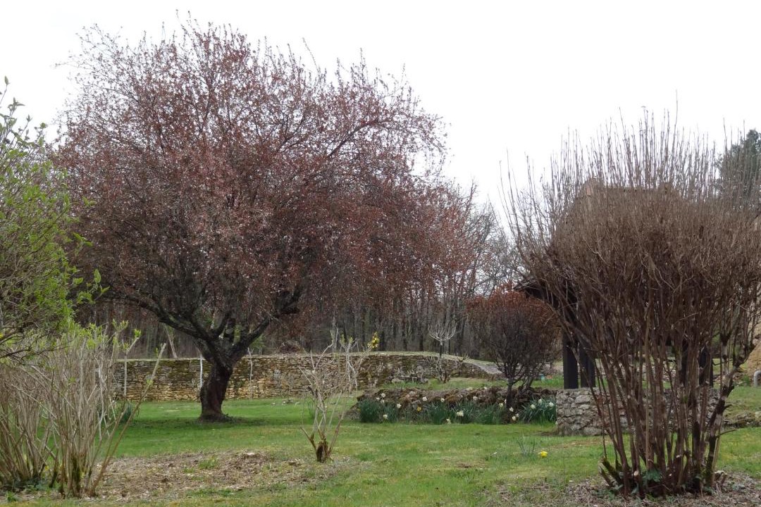 Photo of Outdoor in Sainte-Foy-de-Longas