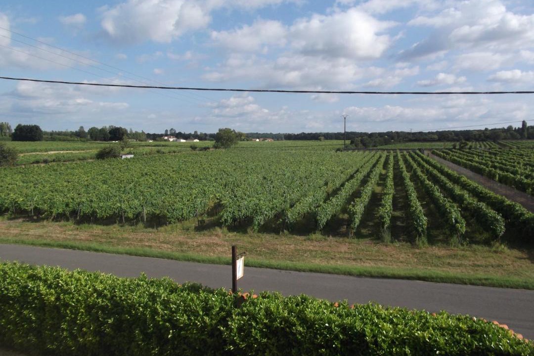 Photo of Outdoor in Gondeville