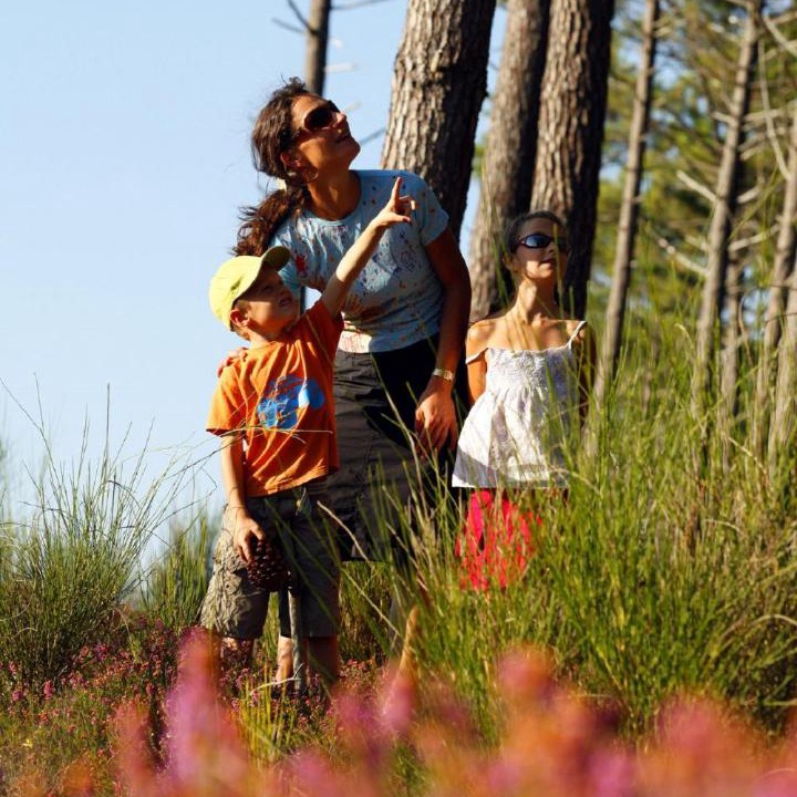 Photo of Others in Mimizan-Plage