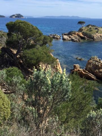 Photo of Others in Le Lavandou