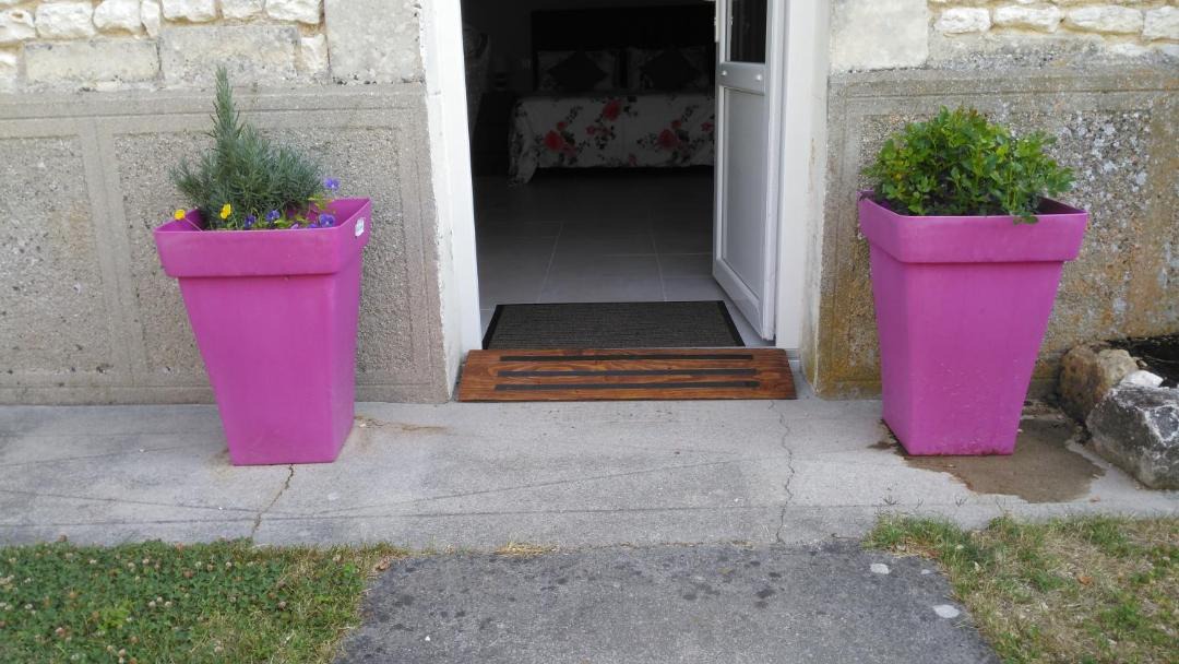 Photo of Others in Saint-Seurin-de-Palenne