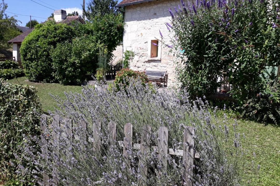 Photo of Buildings in Coussay-les-Bois